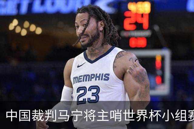 中国裁判马宁将主哨世界杯小组赛第二轮比赛